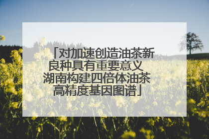 对加速创造油茶新良种具有重要意义 湖南构建四倍体油茶高精度基因图谱