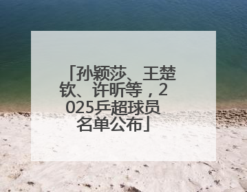 孙颖莎、王楚钦、许昕等，2025乒超球员名单公布