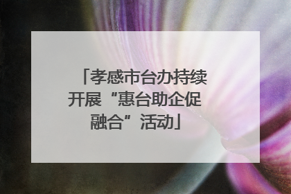 孝感市台办持续开展“惠台助企促融合”活动