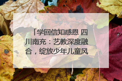 学回信知感恩 四川南充：艺教深度融合，绽放少年儿童风采｜您牵挂的四川