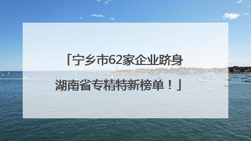 宁乡市62家企业跻身湖南省专精特新榜单！