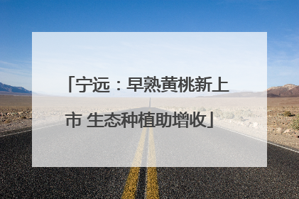 宁远：早熟黄桃新上市 生态种植助增收