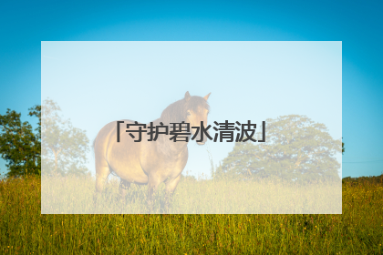 守护碧水清波