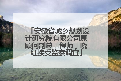 安徽省城乡规划设计研究院有限公司原顾问副总工程师丁晓红接受监察调查