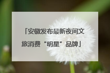 安徽发布最新夜间文旅消费“明星”品牌