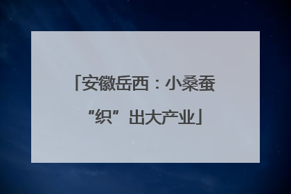 安徽岳西：小桑蚕“织”出大产业