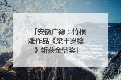 安徽广德：竹根雕作品《梁丰岁稔》斩获金鼎奖