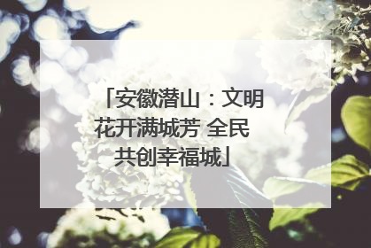 安徽潜山：文明花开满城芳 全民共创幸福城