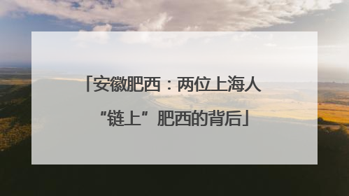 安徽肥西：两位上海人“链上”肥西的背后