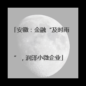 安徽：金融“及时雨”，润泽小微企业