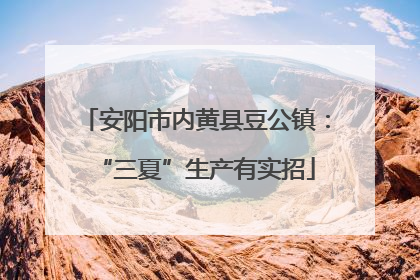 安阳市内黄县豆公镇：“三夏”生产有实招