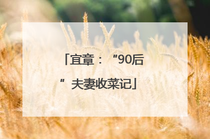 宜章：“90后”夫妻收菜记