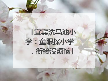 宜宾洗马池小学：童眼探小学，衔接没烦恼