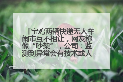 宝鸡两辆快递无人车闹市互不相让，网友称像“吵架”，公司：监测到异常会有技术或人为干预处置
