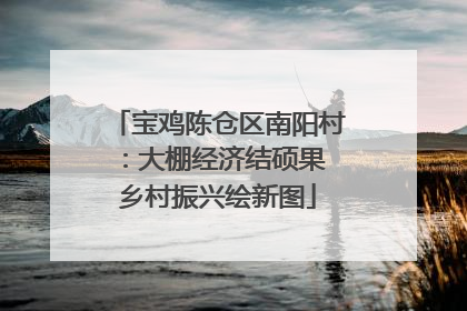 宝鸡陈仓区南阳村：大棚经济结硕果 乡村振兴绘新图