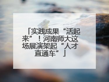 实践成果“活起来”！河南师大这场展演架起“人才直通车”
