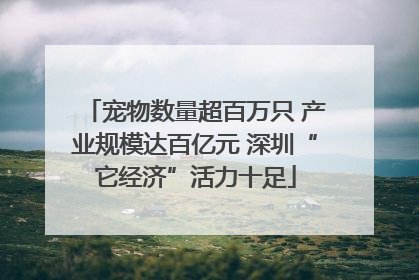 宠物数量超百万只 产业规模达百亿元 深圳“它经济”活力十足