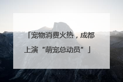宠物消费火热，成都上演“萌宠总动员”