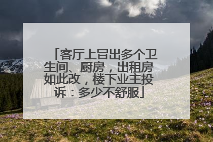 客厅上冒出多个卫生间、厨房，出租房如此改，楼下业主投诉：多少不舒服