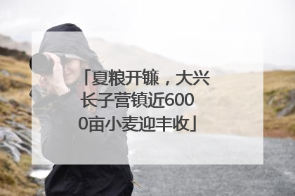 夏粮开镰，大兴长子营镇近6000亩小麦迎丰收