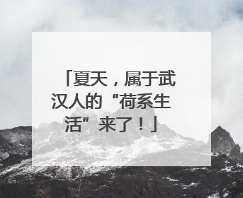 夏天，属于武汉人的“荷系生活”来了！
