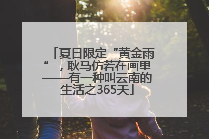 夏日限定“黄金雨”，耿马仿若在画里——有一种叫云南的生活之365天