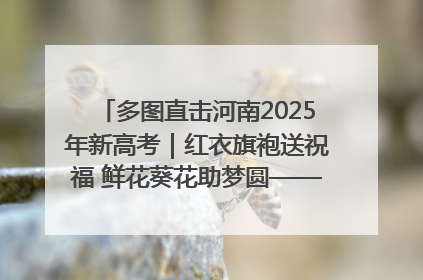 多图直击河南2025年新高考｜红衣旗袍送祝福 鲜花葵花助梦圆——尉氏县高考暖心送考