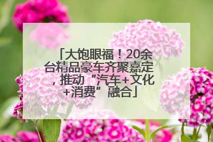 大饱眼福！20余台精品豪车齐聚嘉定，推动“汽车+文化+消费”融合