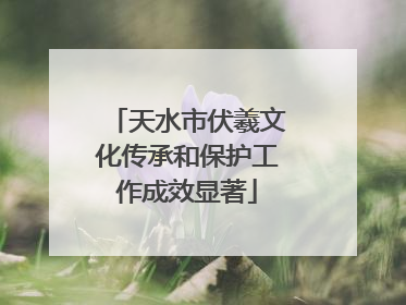 天水市伏羲文化传承和保护工作成效显著