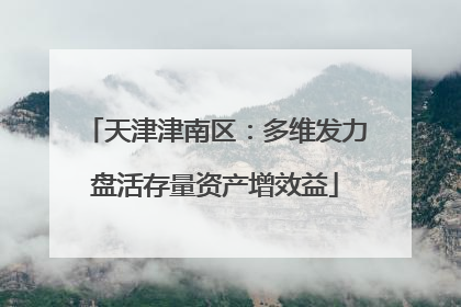 天津津南区：多维发力盘活存量资产增效益