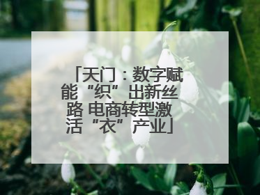 天门：数字赋能“织”出新丝路 电商转型激活“衣”产业