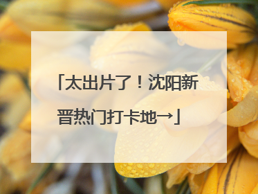 太出片了！沈阳新晋热门打卡地→