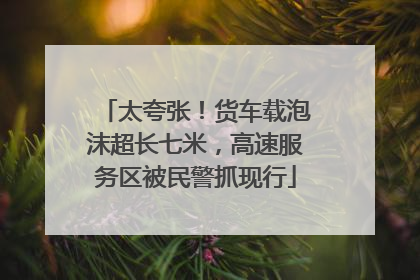 太夸张！货车载泡沫超长七米，高速服务区被民警抓现行