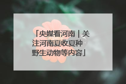央媒看河南｜关注河南夏收夏种 野生动物等内容