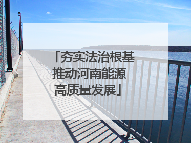 夯实法治根基 推动河南能源高质量发展