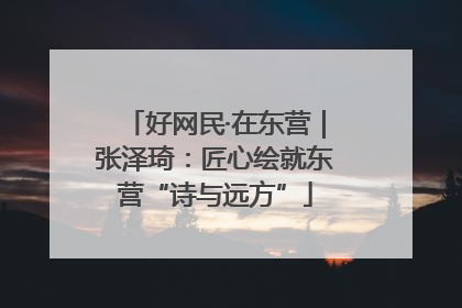 好网民·在东营｜张泽琦：匠心绘就东营“诗与远方”