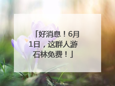 好消息！6月1日，这群人游石林免费！