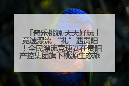 奇乐桃源·天天好玩丨竞速漂流 “礼”遇贵阳！全民漂流竞速赛在贵阳产控集团旗下桃源生态旅游度假区举行