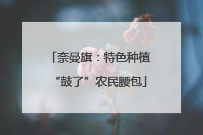 奈曼旗：特色种植“鼓了”农民腰包