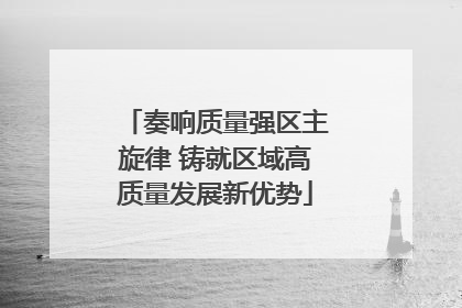 奏响质量强区主旋律 铸就区域高质量发展新优势