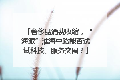 奢侈品消费收缩，“海派”淮海中路能否试试科技、服务突围？