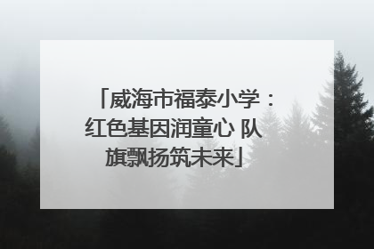 威海市福泰小学：红色基因润童心 队旗飘扬筑未来