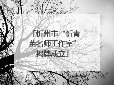忻州市“忻青苗名师工作室”揭牌成立
