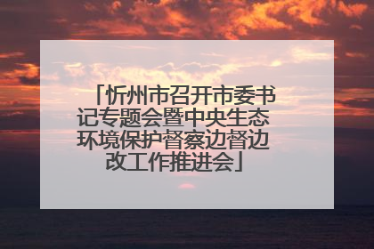 忻州市召开市委书记专题会暨中央生态环境保护督察边督边改工作推进会
