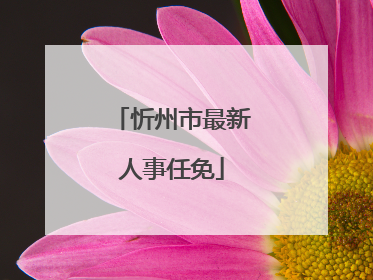 忻州市最新人事任免