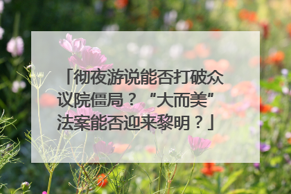 彻夜游说能否打破众议院僵局？“大而美”法案能否迎来黎明？