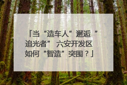 当“造车人”邂逅“追光者” 六安开发区如何“智造”突围？