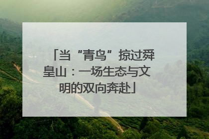当“青鸟”掠过舜皇山：一场生态与文明的双向奔赴