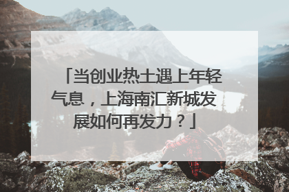 当创业热土遇上年轻气息，上海南汇新城发展如何再发力？
