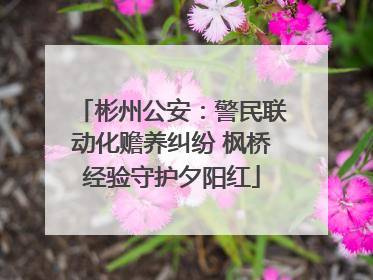 彬州公安：警民联动化赡养纠纷 枫桥经验守护夕阳红